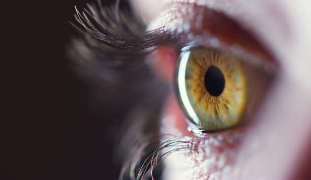 Eyesight