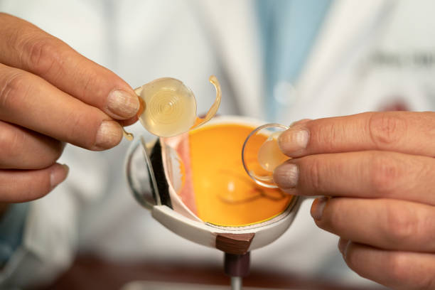 Implantable Eye Lenses