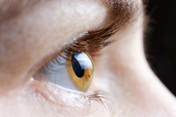 What to Eat for Better Vision